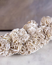 Load image into Gallery viewer, Frosted Sand Roses Object