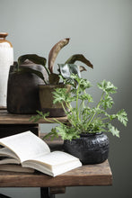 Load image into Gallery viewer, Handmade Caesar Pot