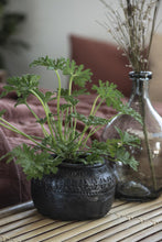 Load image into Gallery viewer, Handmade Caesar Pot