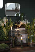 Load image into Gallery viewer, Short Dinner Candle Dark Grey - Set of 6